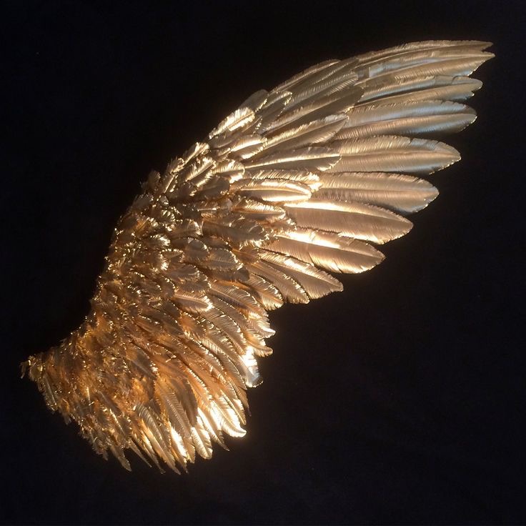 angelwing