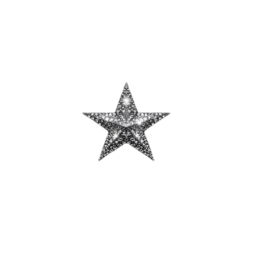 star number 1